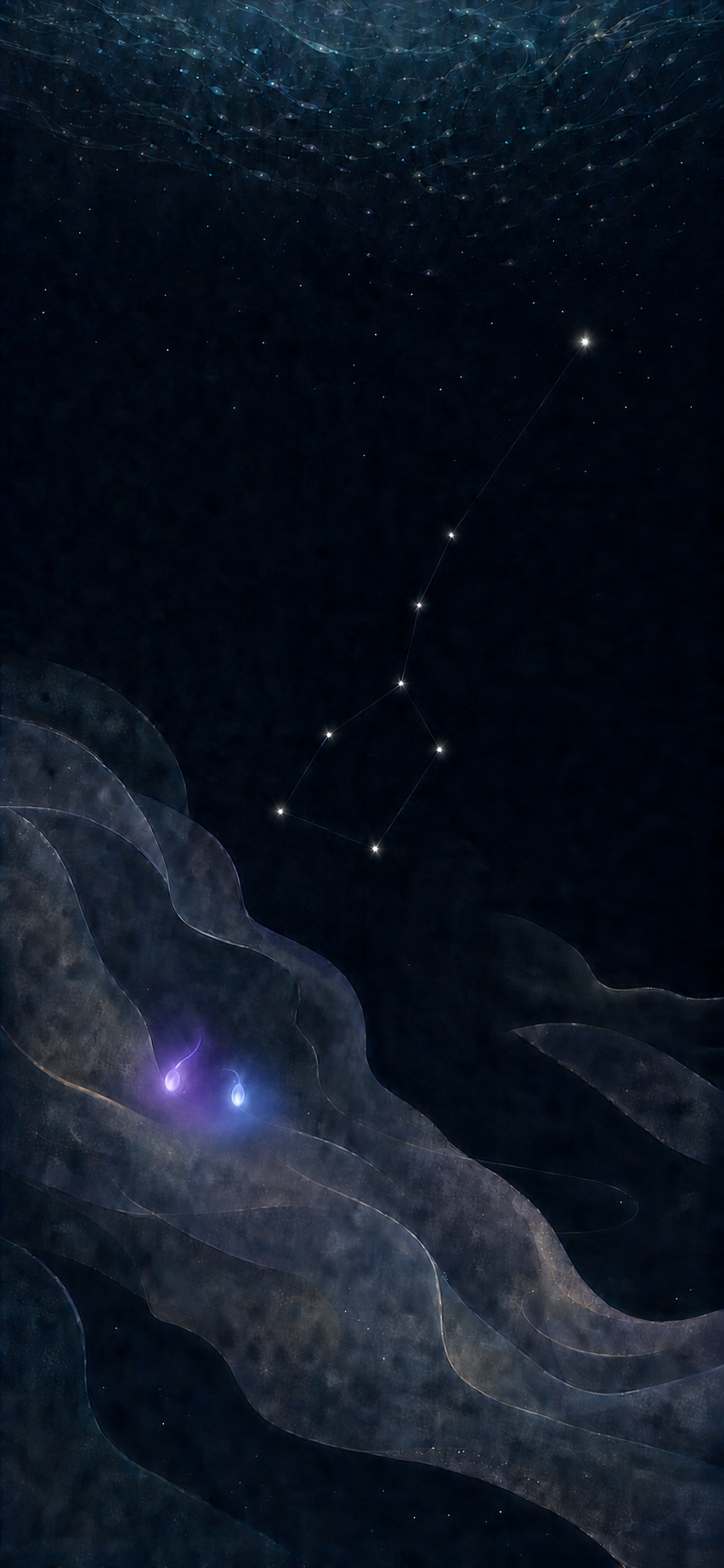 星空云居